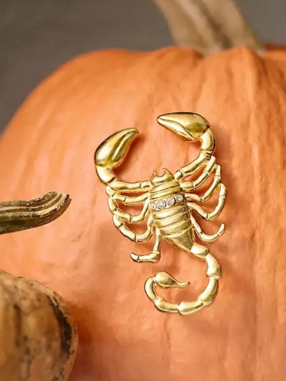 Anthropologie Scorpion Pumpkin Pin Charms NIB